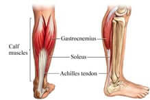 achilles-tendon